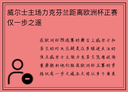 威尔士主场力克芬兰距离欧洲杯正赛仅一步之遥